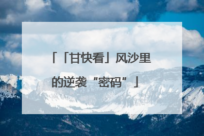 「甘快看」风沙里的逆袭“密码”
