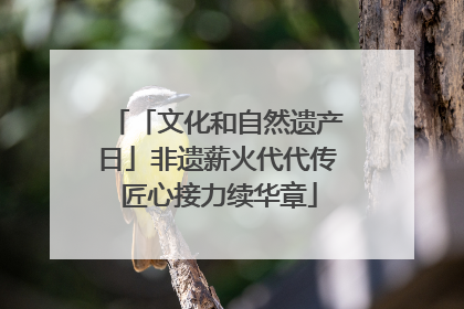 「文化和自然遗产日」非遗薪火代代传 匠心接力续华章