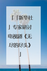 「新华社」专家研讨电视剧《无尽的尽头》