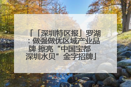 「深圳特区报」罗湖：做强做优区域产业品牌 擦亮“中国宝都 深圳水贝”金字招牌