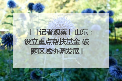 「记者观察」山东：设立重点帮扶基金 破题区域协调发展
