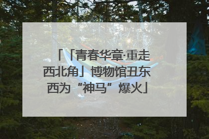 「青春华章·重走西北角」博物馆丑东西为“神马”爆火