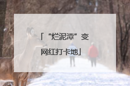 “烂泥潭”变网红打卡地