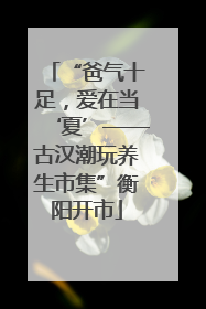 “爸气十足，爱在当‘夏’——古汉潮玩养生市集”衡阳开市