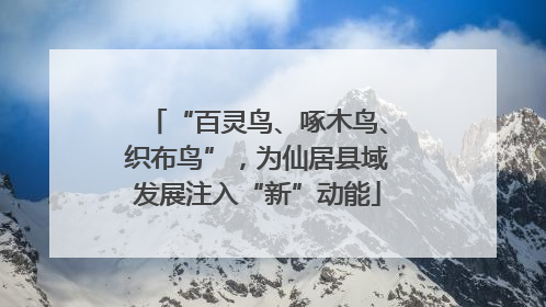 “百灵鸟、啄木鸟、织布鸟”，为仙居县域发展注入“新”动能