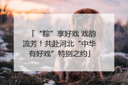 “粽”享好戏 戏韵流芳！共赴河北“中华有好戏”特别之约