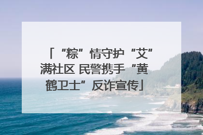 “粽”情守护“艾”满社区 民警携手“黄鹤卫士”反诈宣传