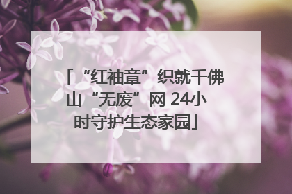“红袖章”织就千佛山“无废”网 24小时守护生态家园