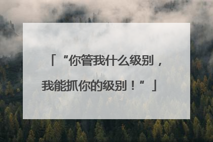 “你管我什么级别，我能抓你的级别！”