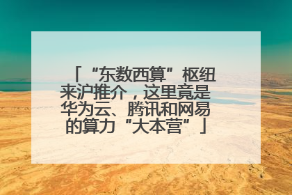 “东数西算”枢纽来沪推介，这里竟是华为云、腾讯和网易的算力“大本营”