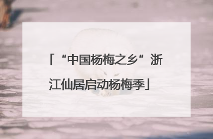 “中国杨梅之乡”浙江仙居启动杨梅季