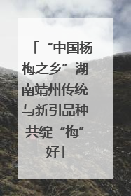 “中国杨梅之乡”湖南靖州传统与新引品种共绽“梅”好