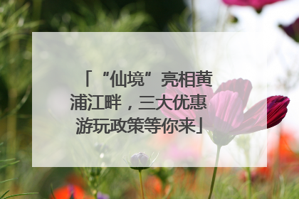 “仙境”亮相黄浦江畔，三大优惠游玩政策等你来
