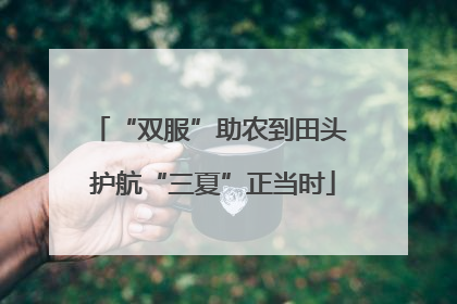 “双服”助农到田头 护航“三夏”正当时