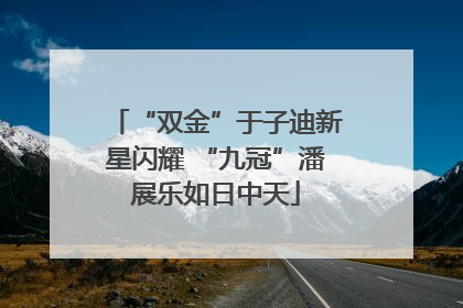 “双金”于子迪新星闪耀 “九冠”潘展乐如日中天