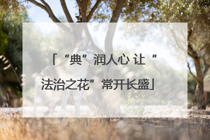 “典”润人心 让“法治之花”常开长盛
