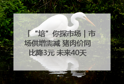 “培”你探市场｜市场供增需减 猪肉价同比降3元 未来40天便宜猪肉敞开吃