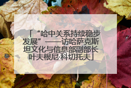 “哈中关系持续稳步发展”——访哈萨克斯坦文化与信息部副部长叶夫根尼·科切托夫