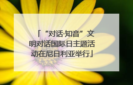 “对话·知音”文明对话国际日主题活动在尼日利亚举行