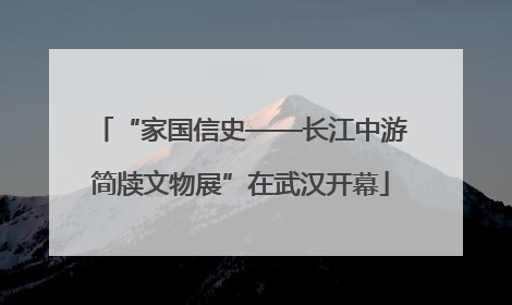 “家国信史——长江中游简牍文物展”在武汉开幕
