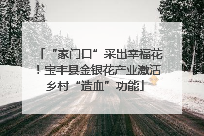 “家门口”采出幸福花！宝丰县金银花产业激活乡村“造血”功能