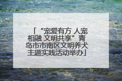 “宠爱有方 人宠相融 文明共享”青岛市市南区文明养犬主题实践活动举办