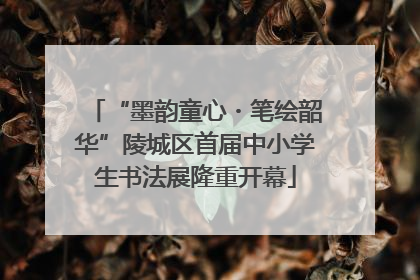 “墨韵童心・笔绘韶华”陵城区首届中小学生书法展隆重开幕