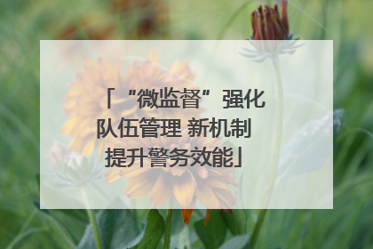 “微监督”强化队伍管理 新机制提升警务效能