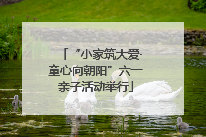 “小家筑大爱·童心向朝阳”六一亲子活动举行