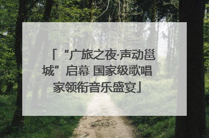 “广旅之夜·声动邕城”启幕 国家级歌唱家领衔音乐盛宴
