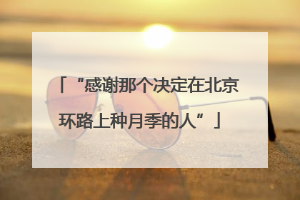 “感谢那个决定在北京环路上种月季的人”