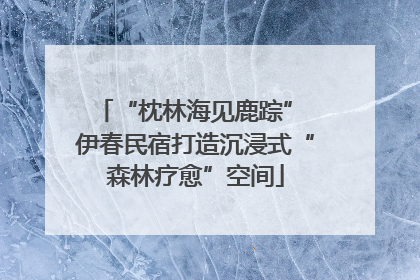 “枕林海见鹿踪” 伊春民宿打造沉浸式“森林疗愈”空间