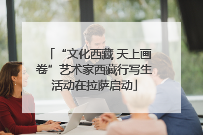 “文化西藏 天上画卷”艺术家西藏行写生活动在拉萨启动