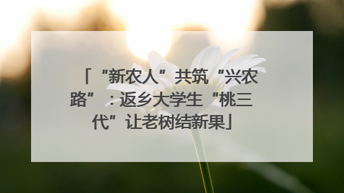 “新农人”共筑“兴农路”：返乡大学生“桃三代”让老树结新果