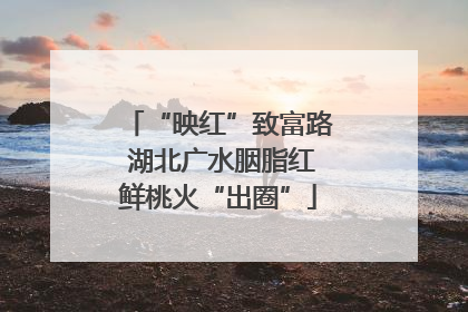 “映红”致富路 湖北广水胭脂红鲜桃火“出圈”
