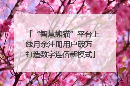 “智慧熊猫”平台上线月余注册用户破万 打造数字连侨新模式