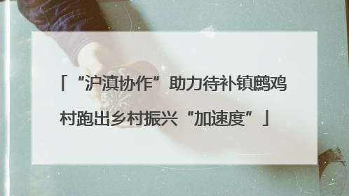 “沪滇协作”助力待补镇鹧鸡村跑出乡村振兴“加速度”