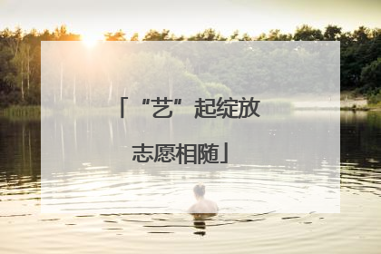 “艺”起绽放 志愿相随