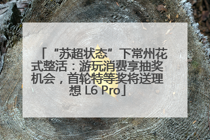 “苏超状态”下常州花式整活：游玩消费享抽奖机会，首轮特等奖将送理想 L6 Pro