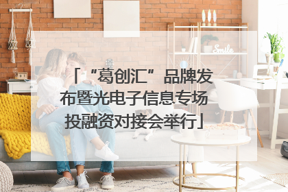 “葛创汇”品牌发布暨光电子信息专场投融资对接会举行