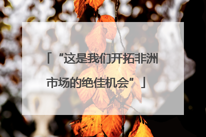 “这是我们开拓非洲市场的绝佳机会”