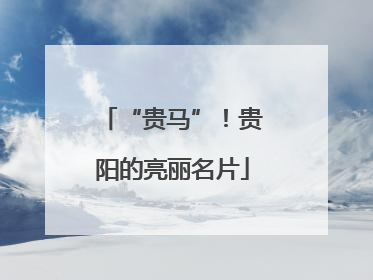 “贵马”！贵阳的亮丽名片
