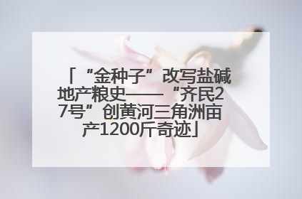 “金种子”改写盐碱地产粮史——“齐民27号”创黄河三角洲亩产1200斤奇迹