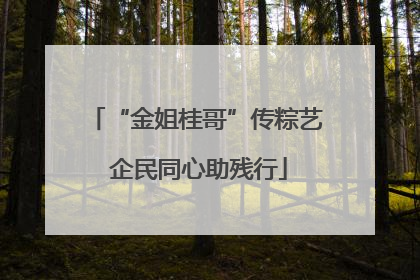 “金姐桂哥”传粽艺 企民同心助残行