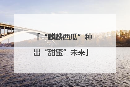 “麒麟西瓜”种出“甜蜜”未来