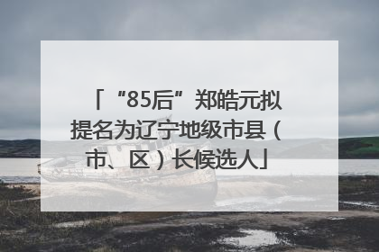 “85后”郑皓元拟提名为辽宁地级市县（市、区）长候选人