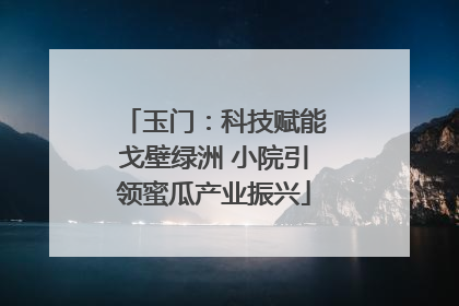 玉门：科技赋能戈壁绿洲 小院引领蜜瓜产业振兴