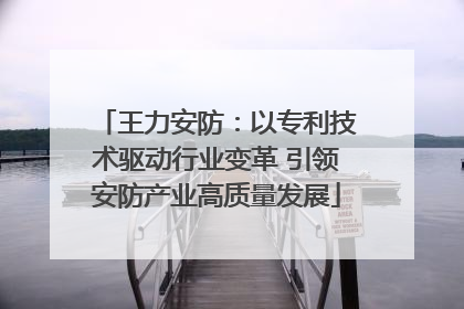 王力安防：以专利技术驱动行业变革 引领安防产业高质量发展