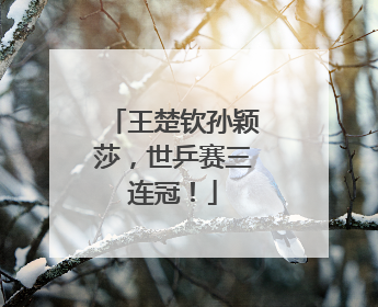 王楚钦孙颖莎，世乒赛三连冠！