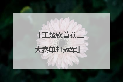 王楚钦首获三大赛单打冠军